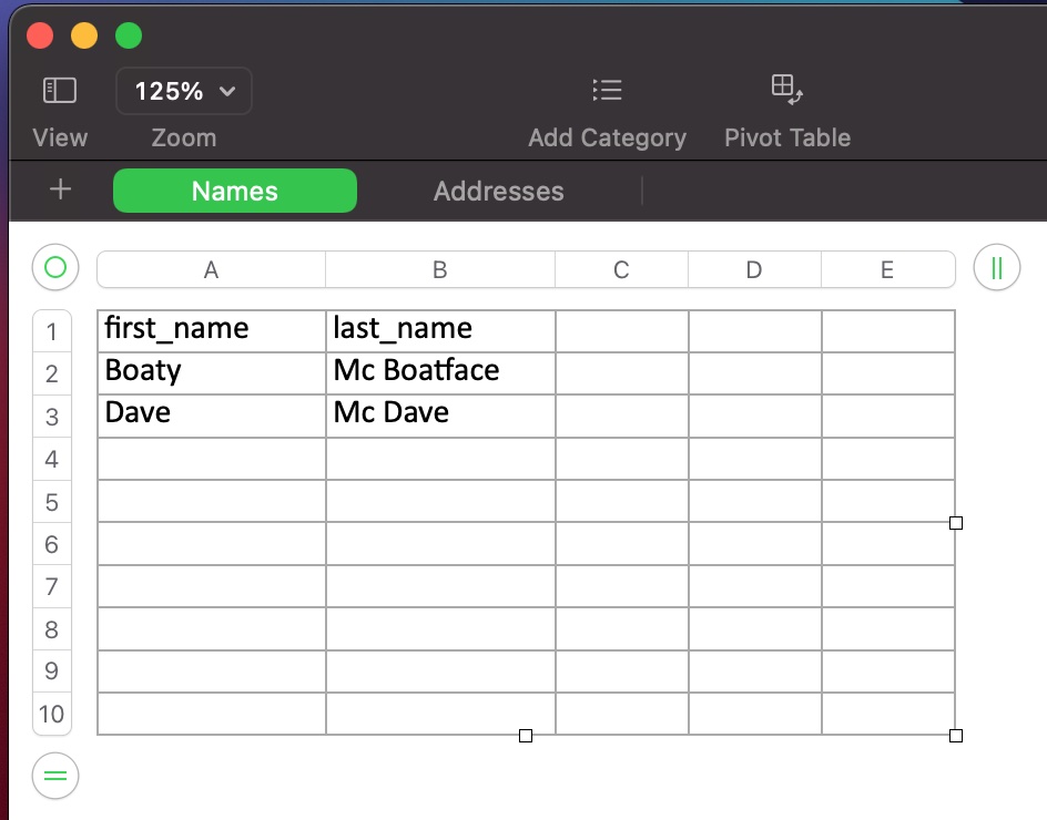 The Names Excel worksheet