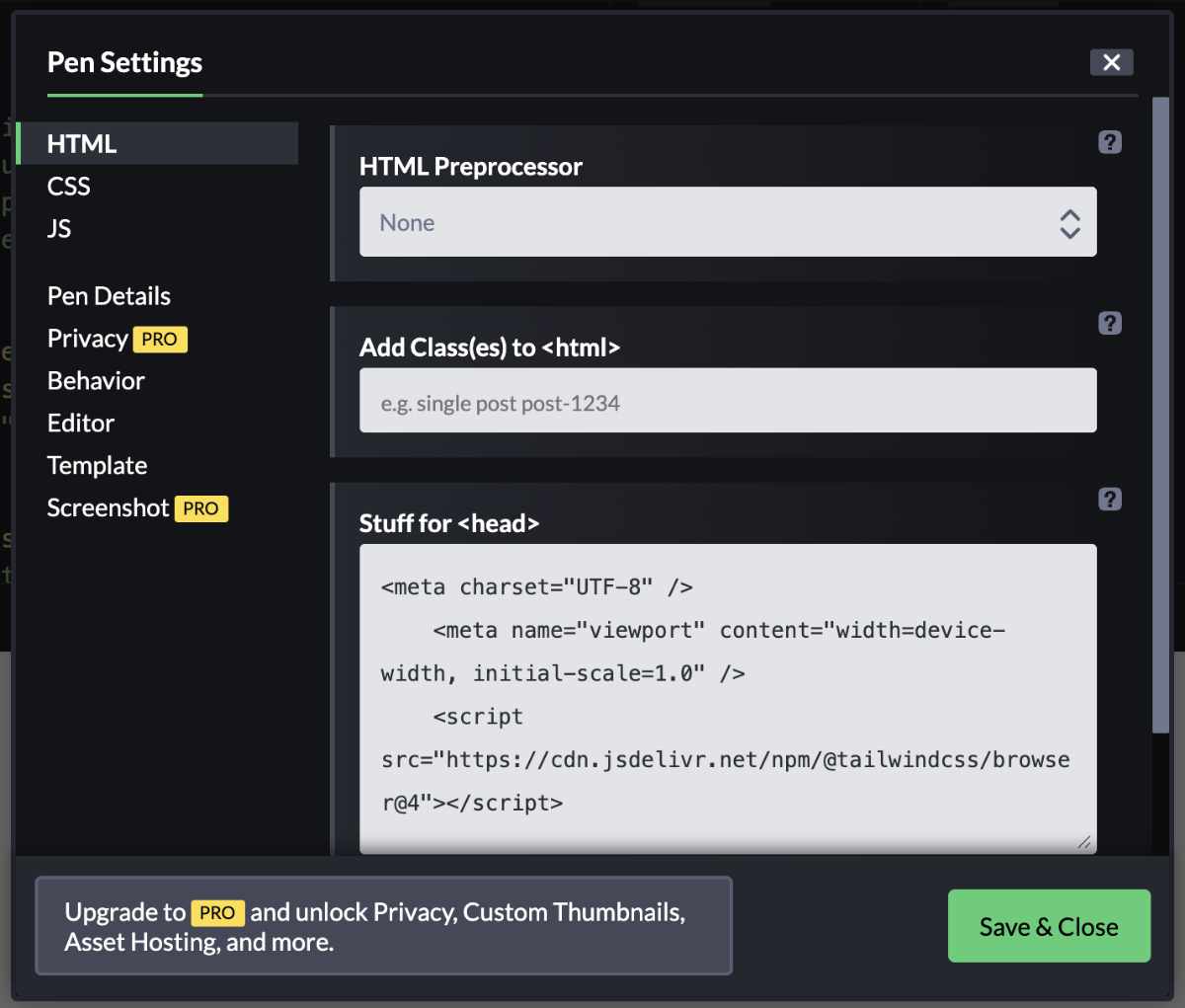 Codepen settings